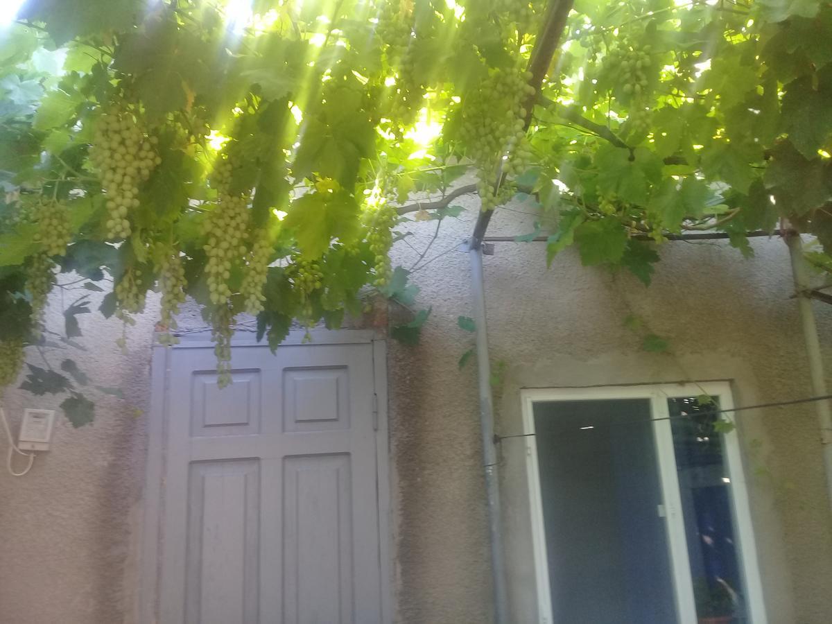 Guest House Gikacha Tiflis Dış mekan fotoğraf